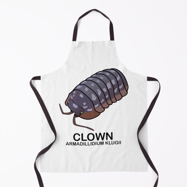 Item preview, Armadillidium Klugii 'Clown' designed and sold by ArmadilloPods.