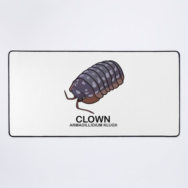 Item preview, Armadillidium Klugii 'Clown' designed and sold by ArmadilloPods.