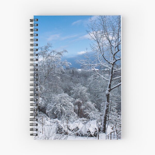 Item preview, Winter Scene at Jesmond Dene designed and sold by David Patterson.
