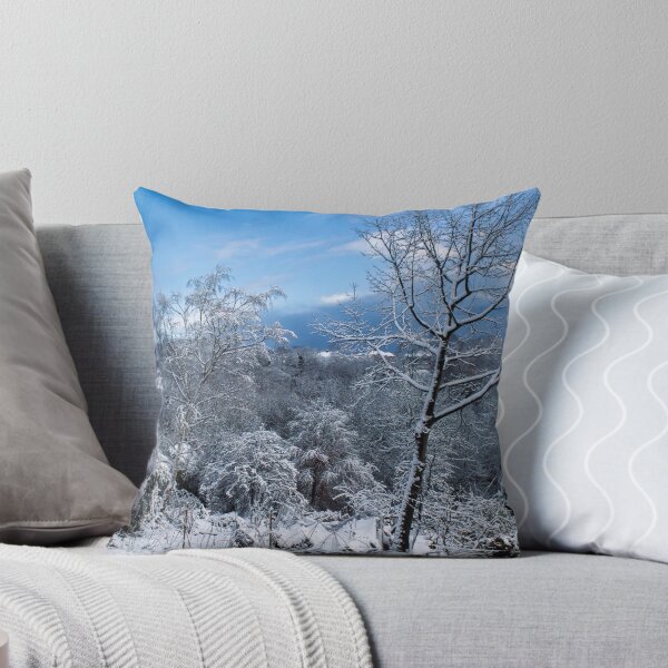 Item preview, Winter Scene at Jesmond Dene designed and sold by David Patterson.
