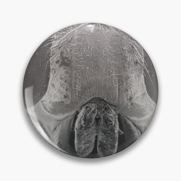 Item preview, Fly Eyes designed and sold by SEMphotoArt.