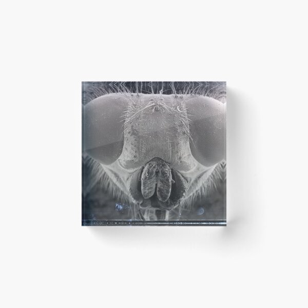 Item preview, Fly Eyes designed and sold by SEMphotoArt.