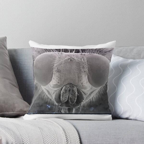 Item preview, Fly Eyes designed and sold by SEMphotoArt.