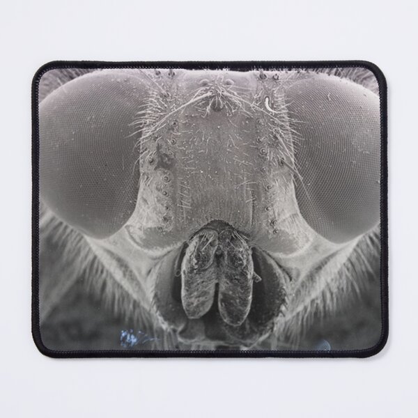 Item preview, Fly Eyes designed and sold by SEMphotoArt.