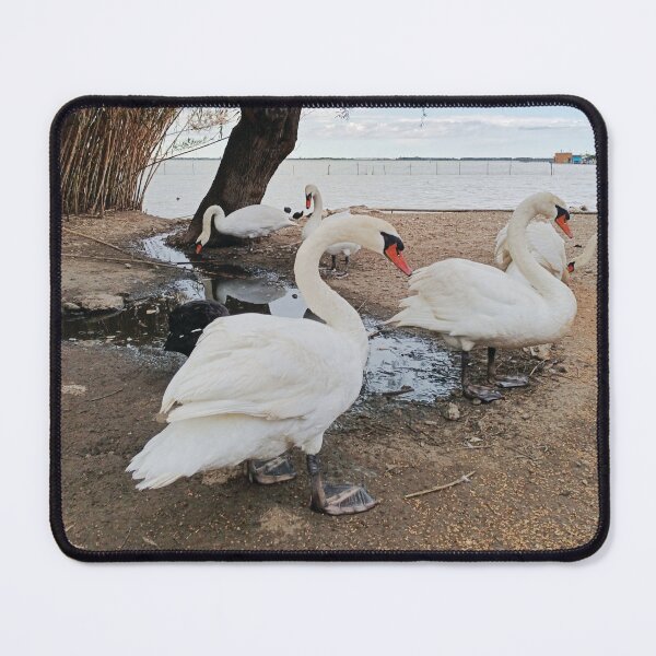 Item preview, White Harmony on the Lake designed and sold by EpicVistas.