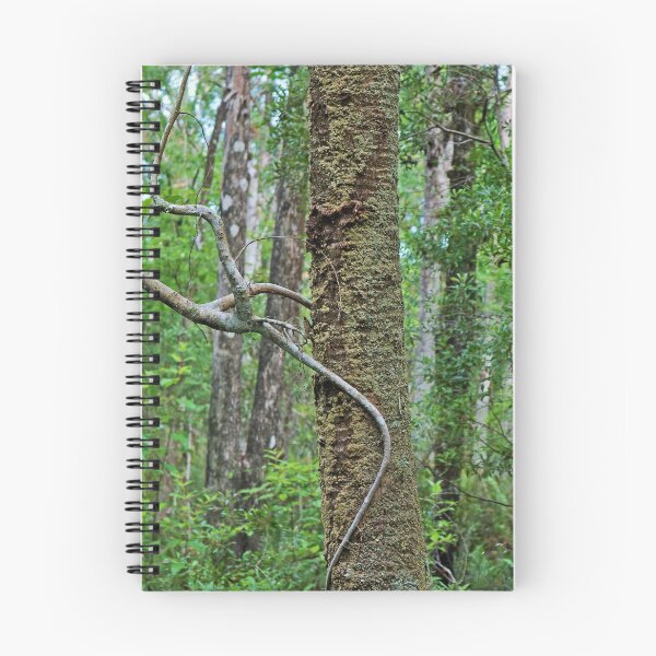 Item preview, Tree Climber designed and sold by Michiale.