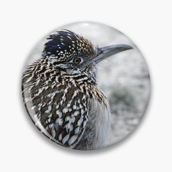 Item preview, Greater Roadrunner Winter Profile designed and sold by Debra Martz.