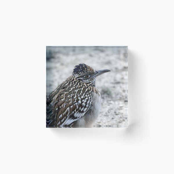 Item preview, Greater Roadrunner Winter Profile designed and sold by Debra Martz.