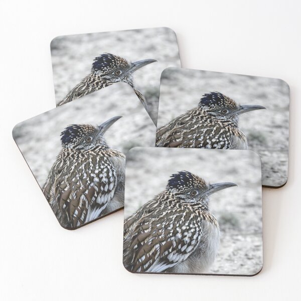 Item preview, Greater Roadrunner Winter Profile designed and sold by Debra Martz.