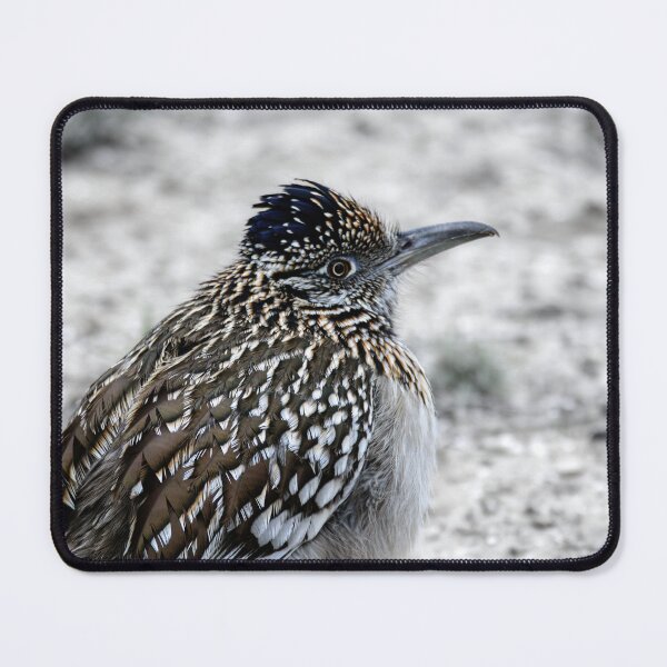 Item preview, Greater Roadrunner Winter Profile designed and sold by Debra Martz.