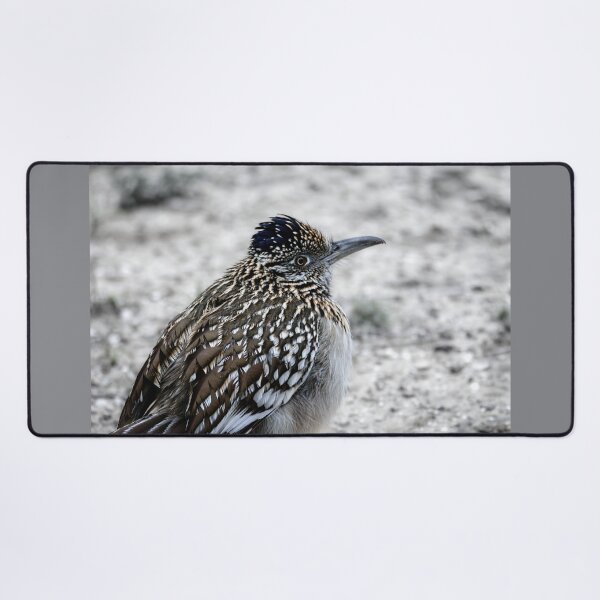 Item preview, Greater Roadrunner Winter Profile designed and sold by Debra Martz.