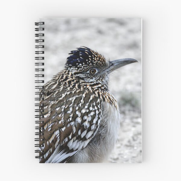 Item preview, Greater Roadrunner Winter Profile designed and sold by Debra Martz.