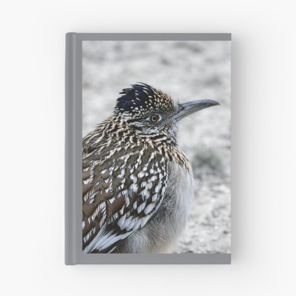 Item preview, Greater Roadrunner Winter Profile designed and sold by Debra Martz.
