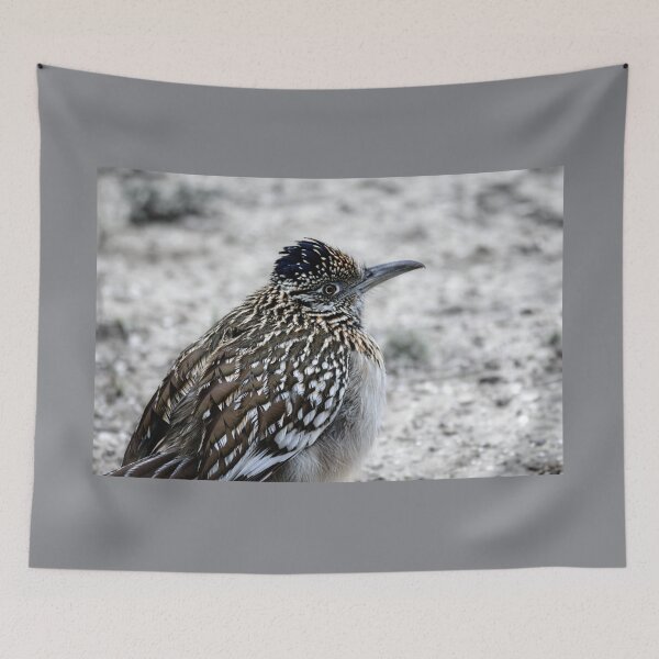 Item preview, Greater Roadrunner Winter Profile designed and sold by Debra Martz.