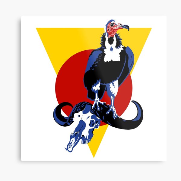 Necrosyrtes monachus, the hooded vulture Metal Print