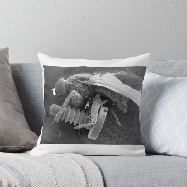 Item preview, Screw Fly designed and sold by SEMphotoArt.