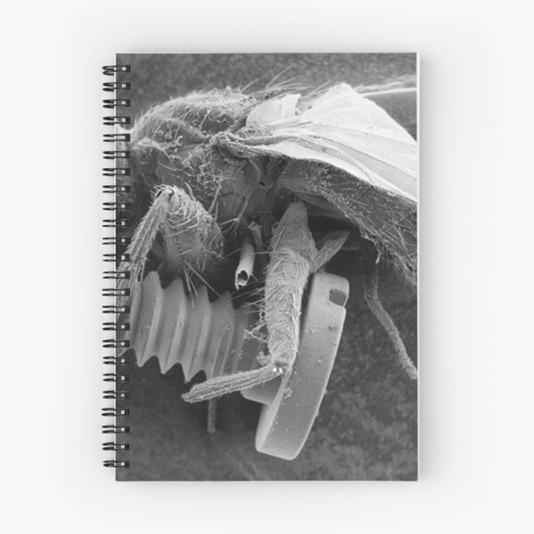Item preview, Screw Fly designed and sold by SEMphotoArt.