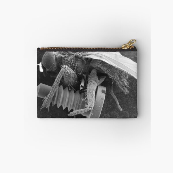 Item preview, Screw Fly designed and sold by SEMphotoArt.