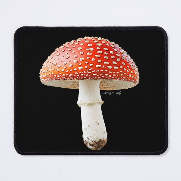 Item preview, Large Red Toadstool Mushroom. Psychedelic, Poisonous, Colorful. Autumn Nature Photo Collage, Hyperrealistic Botanical Illustration designed and sold by MarikoDesignArt.
