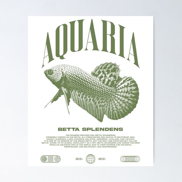 Item preview, Betta Fish Keeper Modern Streetwear designed and sold by JRRTs.