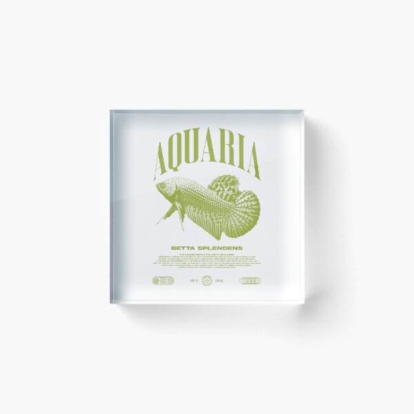 Item preview, Betta Fish Keeper Modern Streetwear designed and sold by JRRTs.
