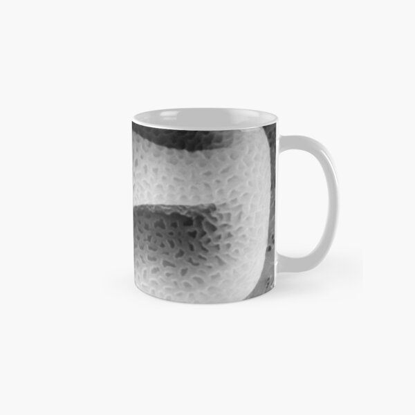 Item preview, diatomaceous earth designed and sold by SEMphotoArt.