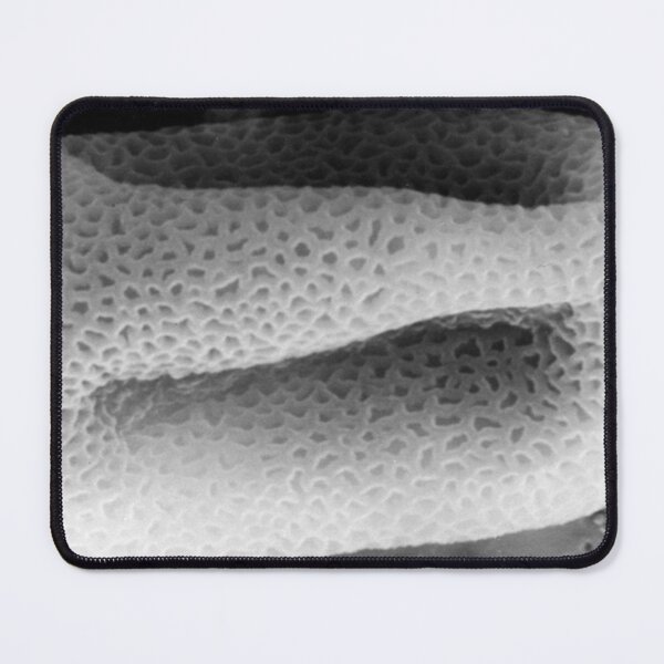 Item preview, diatomaceous earth designed and sold by SEMphotoArt.