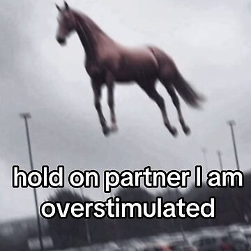 Artwork thumbnail, Hold on partner I am overstimulated Meme Funny by NatsDigitalArts