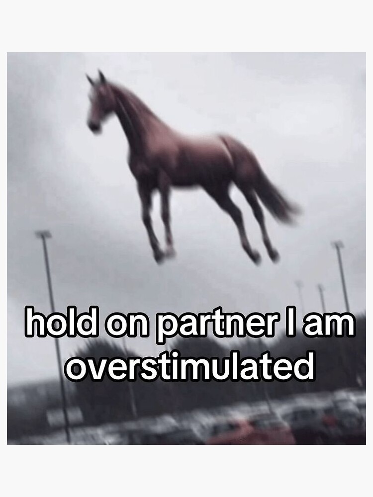 Thumbnail 3 of 3, Sticker, Hold on partner I am overstimulated Meme Funny designed and sold by NatsDigitalArts.