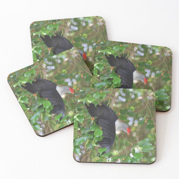 Item preview, Seychelles Blue Pigeon in a tree designed and sold by Proud & Pretty Wildlife Photography.
