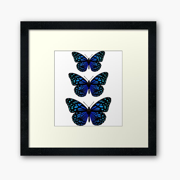 Aperçu de l'œuvre Three blue butterflies créée et vendue par michplante60.