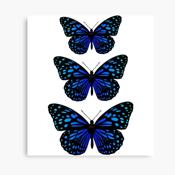 Aperçu de l'œuvre Three blue butterflies créée et vendue par michplante60.