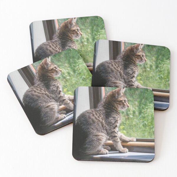 Item preview, Sweet kitten sunbathing on the window sill designed and sold by Sari Castro.