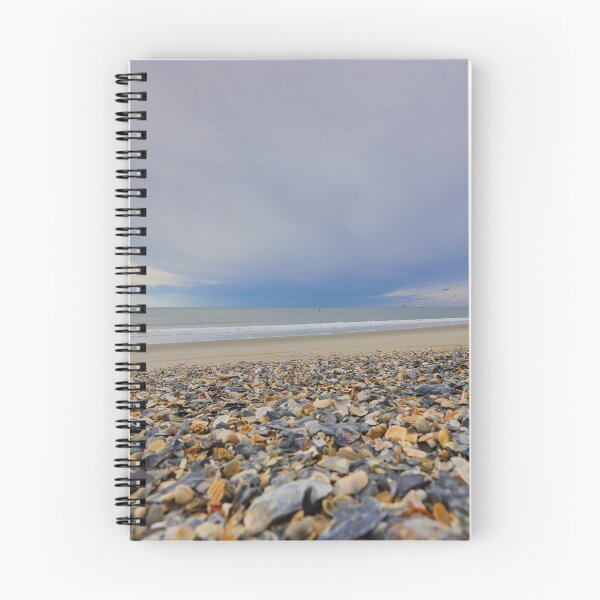 Item preview, Sea Shells by the Seashore designed and sold by JGetsinger Fine Art.