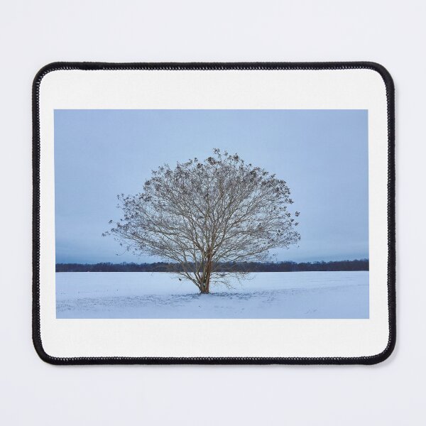 Item preview, Wintertime Crepe Myrtle designed and sold by JGetsinger Fine Art.