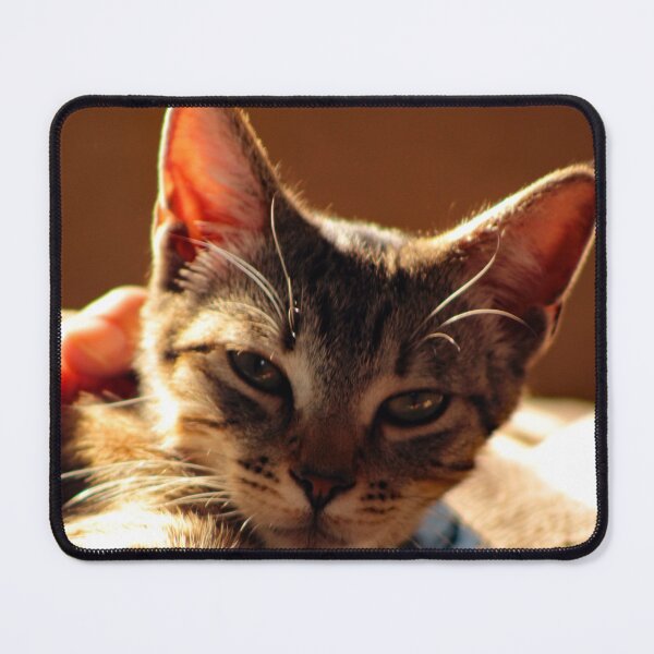 Item preview, Cat designed and sold by supernova23.