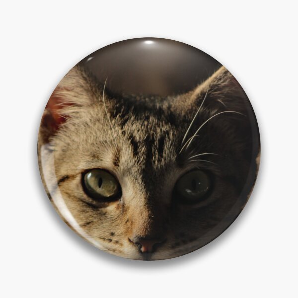 Item preview, Cat designed and sold by supernova23.