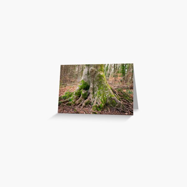Item preview, Treeroots With Moss designed and sold by Christine Lake.
