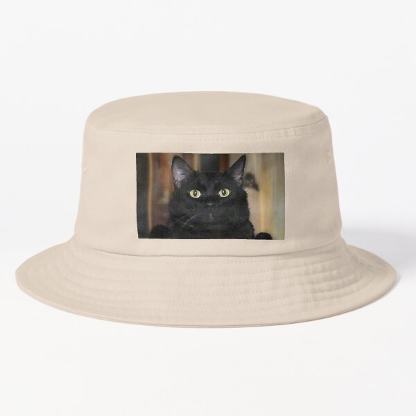 Artikel-Vorschau von Schwarze Katze, designt und verkauft von Frankie Cat Photography.