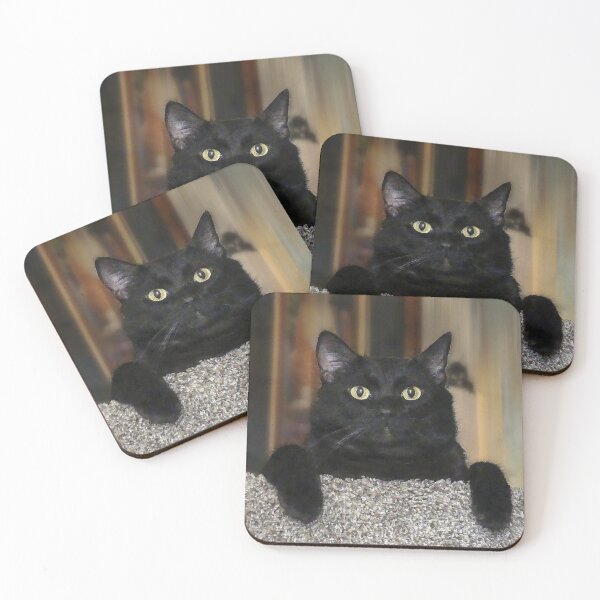 Item preview, Black Cat designed and sold by Frankie Cat Photography.