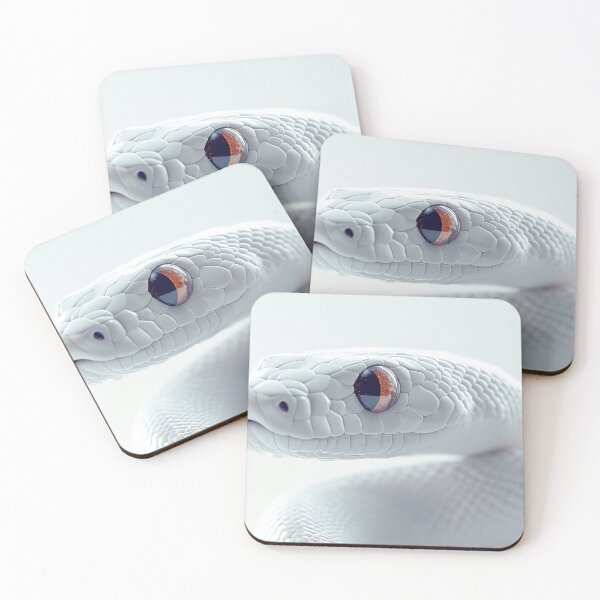 Item preview, Graceful white snake in studio designed and sold by anytka.