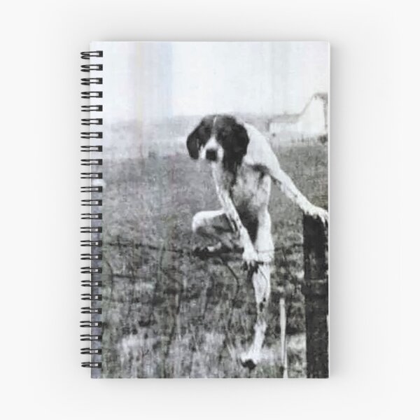 Item preview, Dogo designed and sold by Shjamezlaush Milicevic.