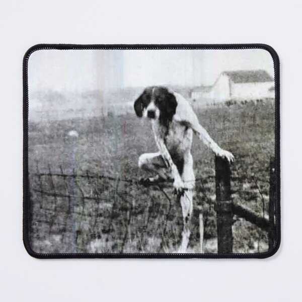 Item preview, Dogo designed and sold by Shjamezlaush Milicevic.