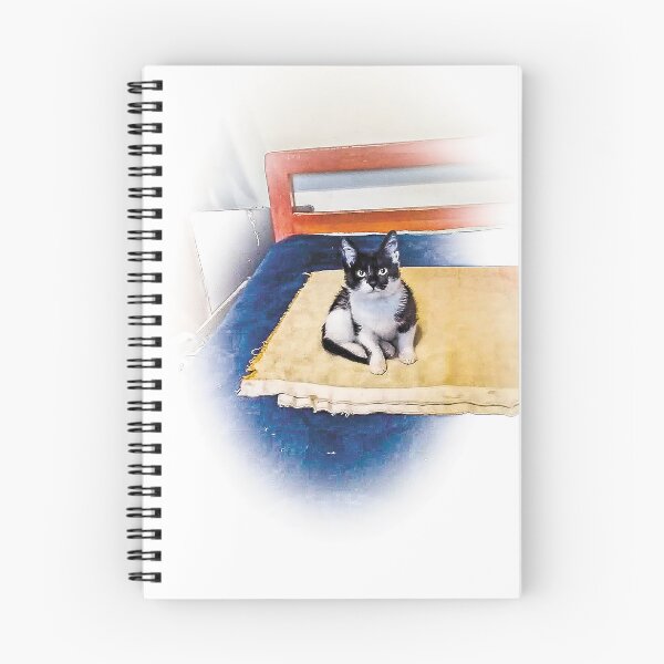 Item preview, Bebana designed and sold by Shjamezlaush Milicevic.