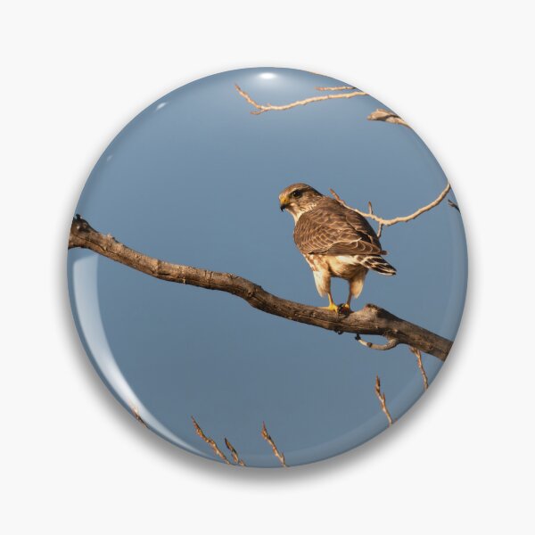 Item preview, Merlin Checking Its Surroundings designed and sold by Debra Martz.