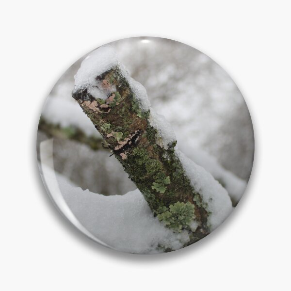 Item preview, Snowy branch photo  designed and sold by McFleur's Lens.