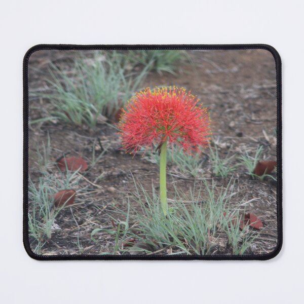 Item preview, Fire flower designed and sold by Mojaniart.