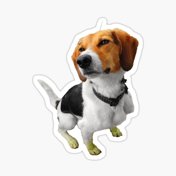 Item preview, Green Footed Beagle designed and sold by ThoughtPlane.