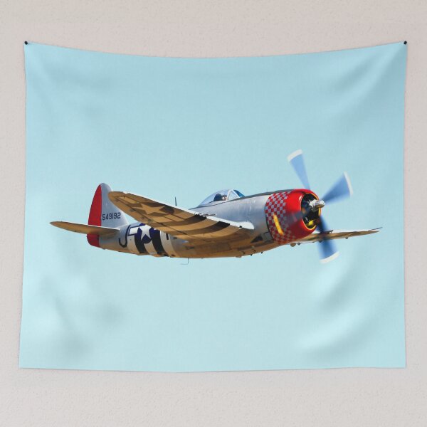 Item preview, P47d Thunderbolt 549192 flying at an air display designed and sold by MartinPhotos.