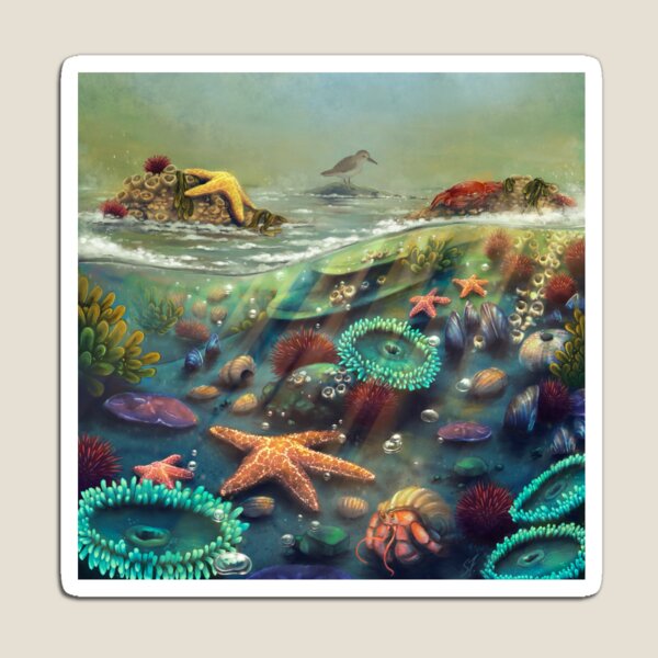 Item preview, Intertidal Zone designed and sold by BreenanaBread.